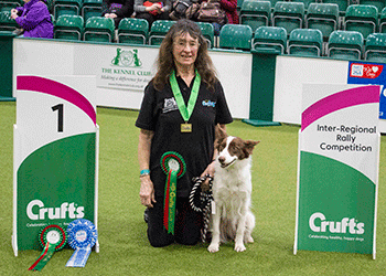 Rally Level 3 Winner